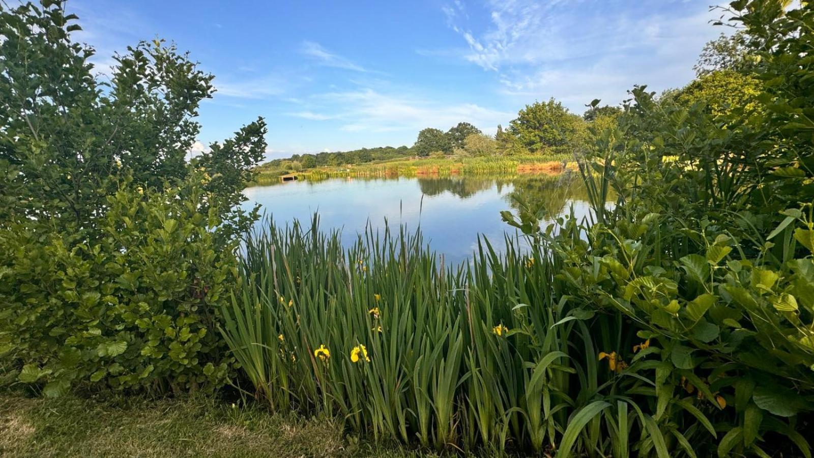 Bransford Farm Fishery & B & B Exterior foto